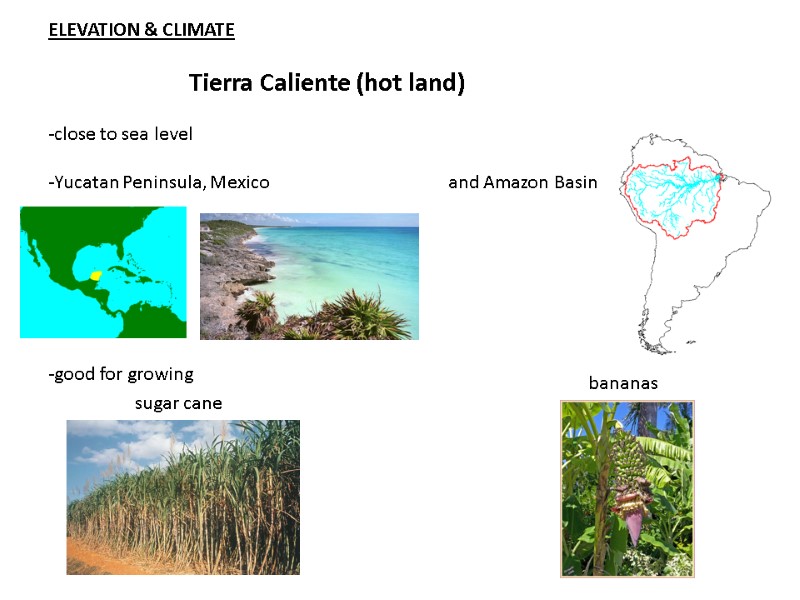 ELEVATION & CLIMATE  Tierra Caliente (hot land)  -close to sea level 